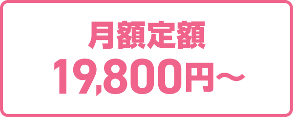 月額定額19,800円〜